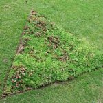 Sod Installation is a great way to improve your Yard