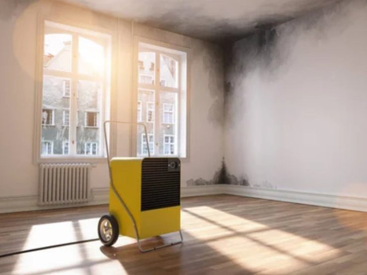 whole room dehumidification